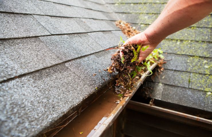 Spartanburg Gutter Cleaning Near me