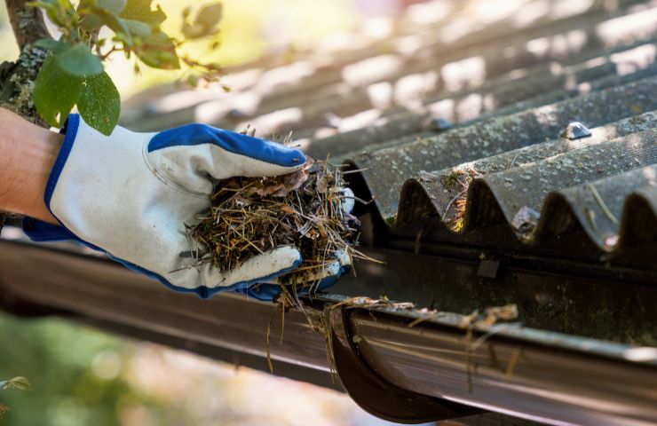 Aiken Gutter Cleaning